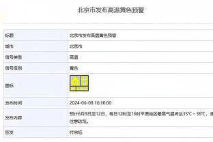 记者：塞尔维亚希望征召帕夫洛维奇，但球员更想为德国效力